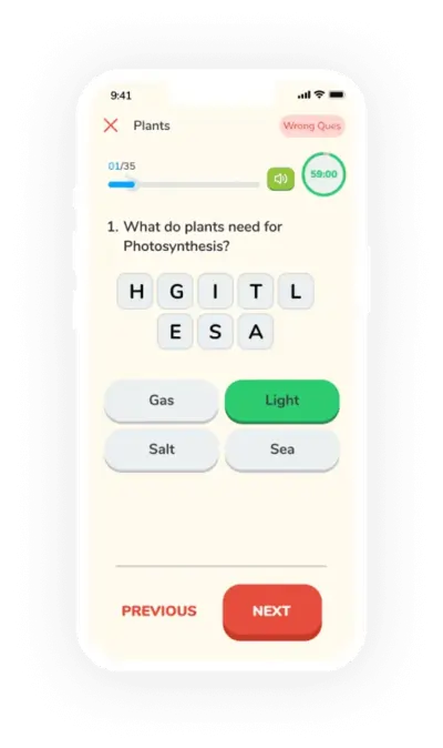 timed mock test interface for student exam preparation